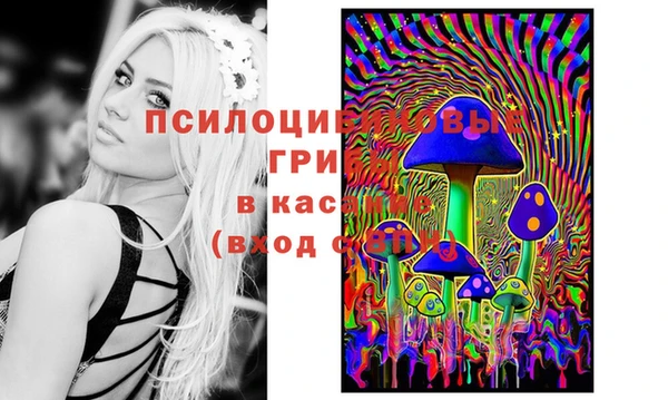 спиды Алексин