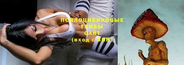 стафф Нягань