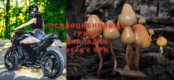 спиды Алексин