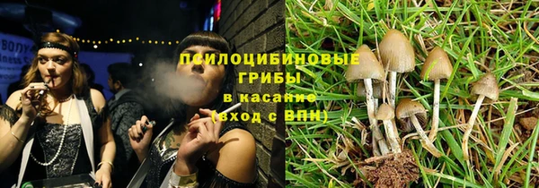 спиды Алексин