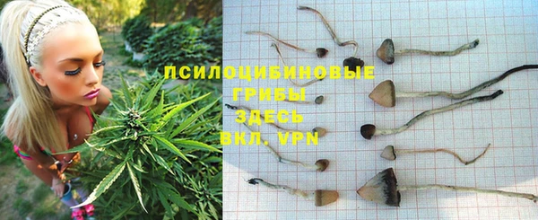 MESCALINE Алзамай