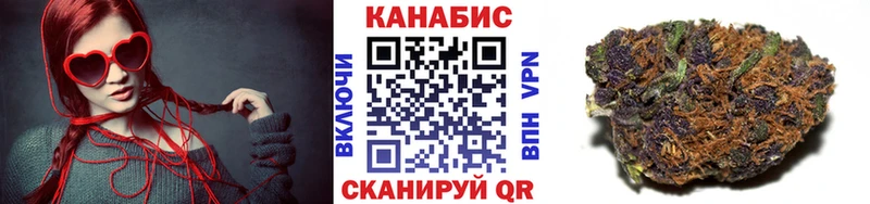 Бошки Шишки сатива  Аргун 